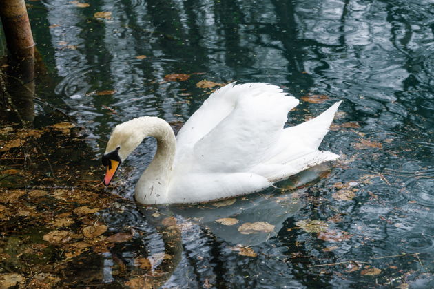 Виды Верхняя Балкария и Голубое озеро