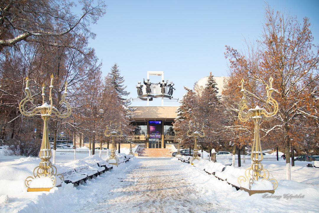 Зимняя Тула: пешеходная экскурсия по праздничному городу — фото 5