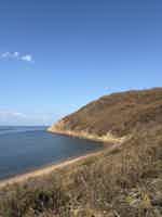 Экскурсия "Морское путешествие к островам Японского моря и морским котикам" - фото отзыва 1