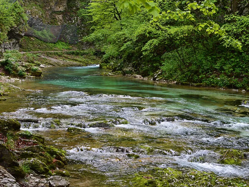 Горное озеро Блед, Радовлица, красота — красотища! — фото 7, Любляна | Покатаем