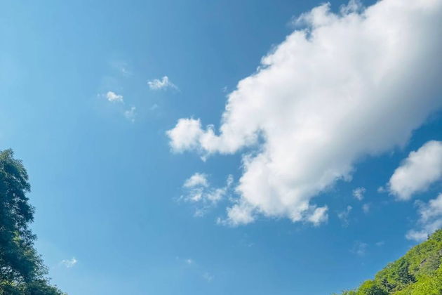 Виды Глоток прохлады: Мцхета — Зелёный лес — Боржоми