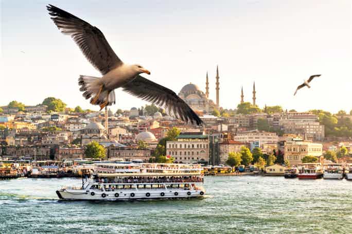 Экскурсия «Знакомство со Стамбулом»