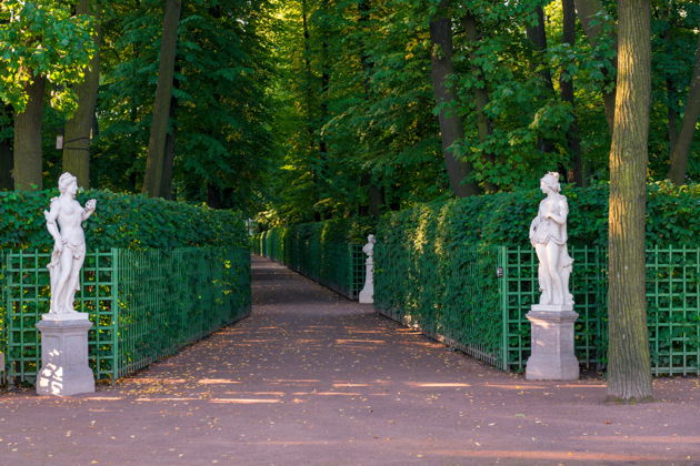 Виды Вдоль Фонтанки