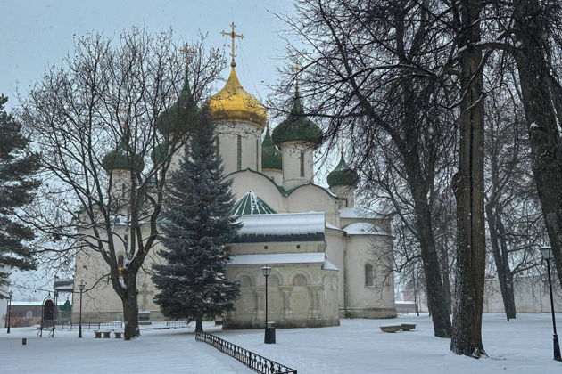 Виды Тайны Суздальской Бастилии