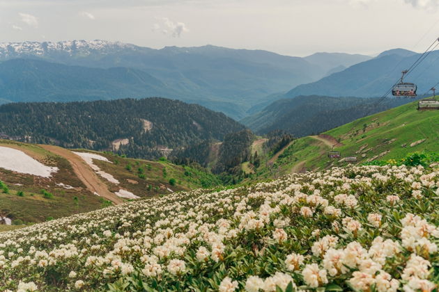 Фото к экскурсии Три курорта Красной Поляны, канатная дорога (960 м) и шоу фонтанов