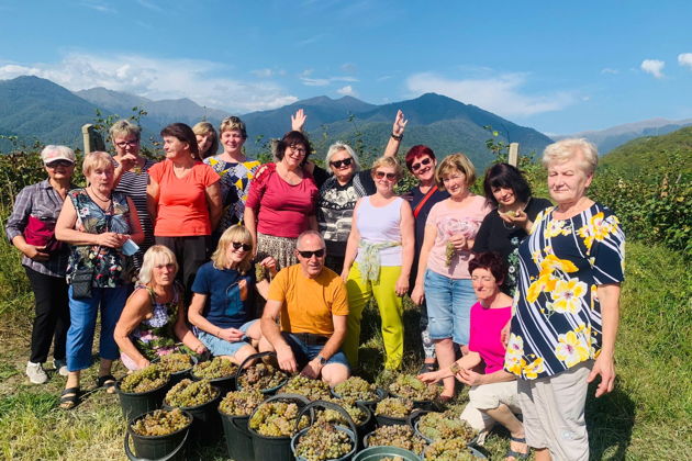 Виды День винограда с тамадой: Сезонный праздник Ртвели