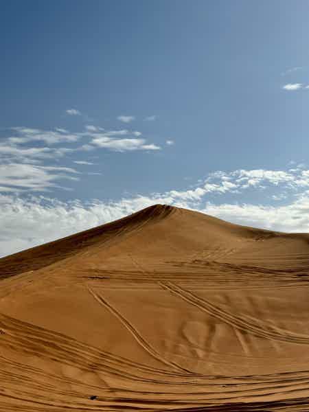 Увлекательное сафари в пустыне без ужина и шоу-программы - фото 5
