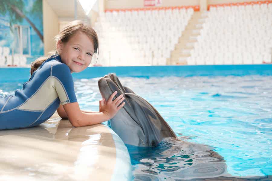 Swimming with dolphins in Antalya - photo 2