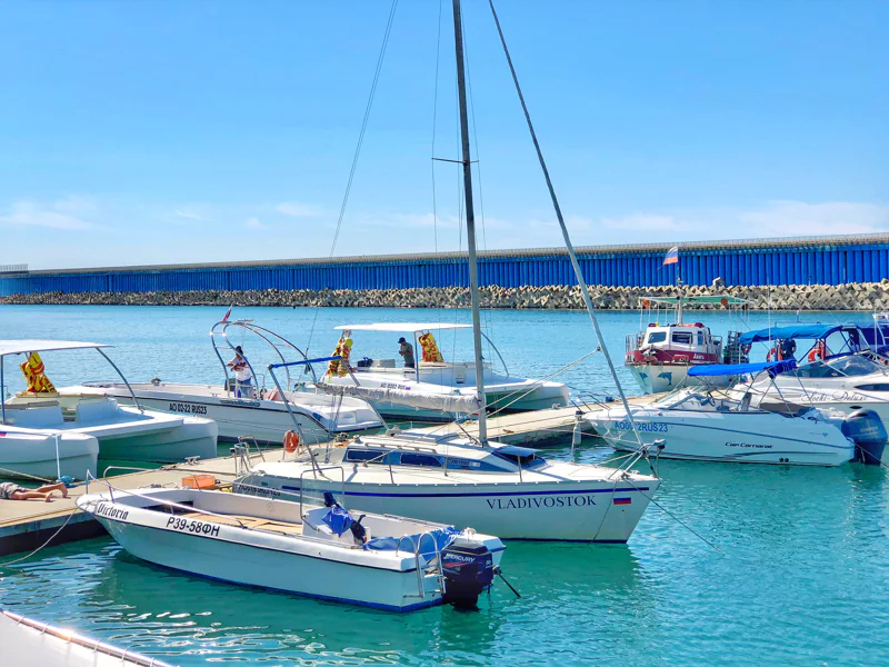 Морская прогулка на поиск дельфинов — фото 3, Адлер | Покатаем