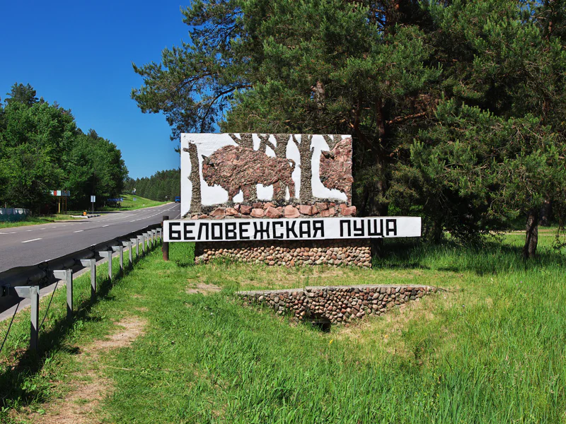 Брестская крепость и Беловежская пуща из Минска за 1 день — фото 3, Минск | Покатаем