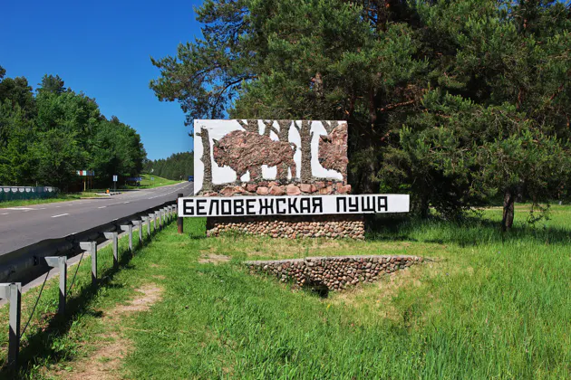 Брестская крепость и Беловежская пуща из Минска за 1 день — фото 3