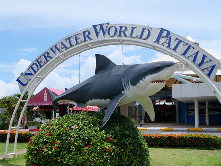 Океанариум