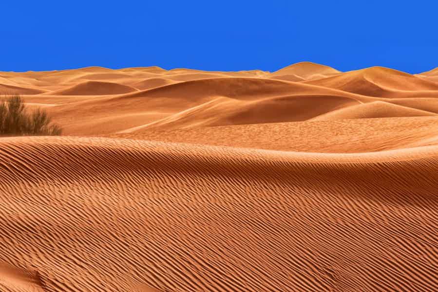 Из Шарджи: экстремальное сафари в пустыне - фото 2