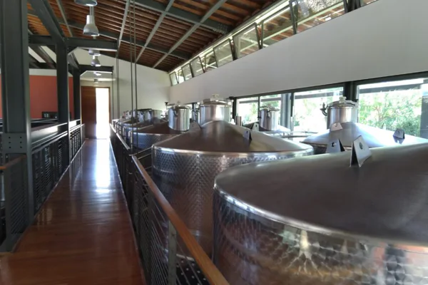 Athens winery tour — photo 2, Athens | Pokataem