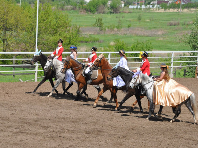 Познайте удивительный мир лошадей в конном клубе «Ангел»