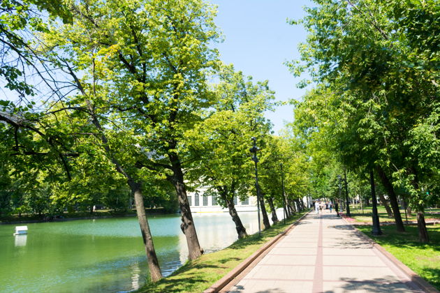 Виды Тайны шумной Мясницкой и секреты её переулков