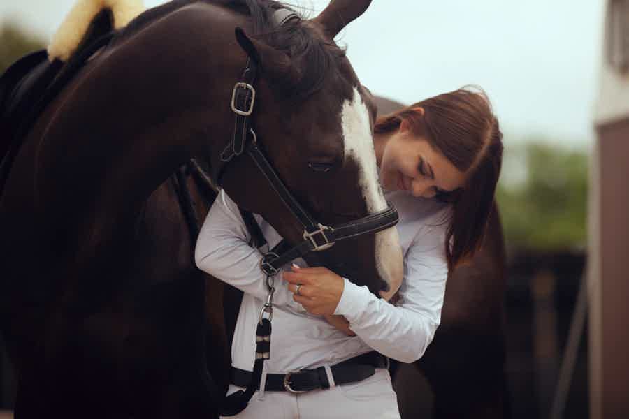 Романтическая прогулка на лошадях для двоих - фото 1