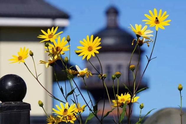 Виды Зеленоградск: пешеходная историко-развлекательная аудиоэкскурсия по всему городу