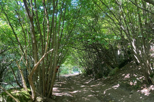 Виды Пешком по Аликоновскому ущелью