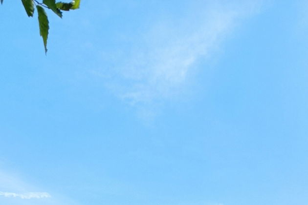 Виды Домбай во всей своей красе!