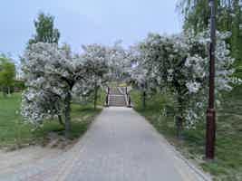 Экскурсия "Старый Гродно в утреннем свете" - фото отзыва 5