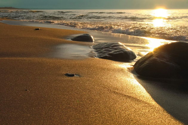 Виды Куршская коса из Светлогорска: Танцующий лес, Высота Эфа, визит-центр