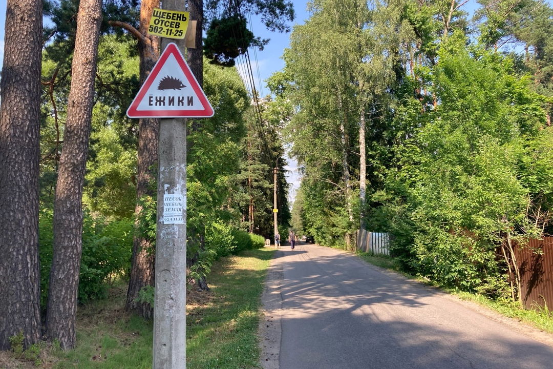 Комарово (Лесная сторона). От старинных дач до "будки" Ахматовой. — фото 4