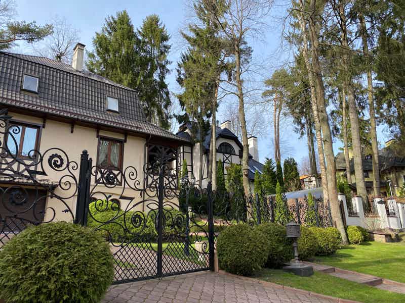 Променад по Светлогорску в мини-группе - фото 2