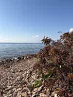 Экскурсия "Морское путешествие к островам Японского моря и морским котикам" - фото отзыва 2