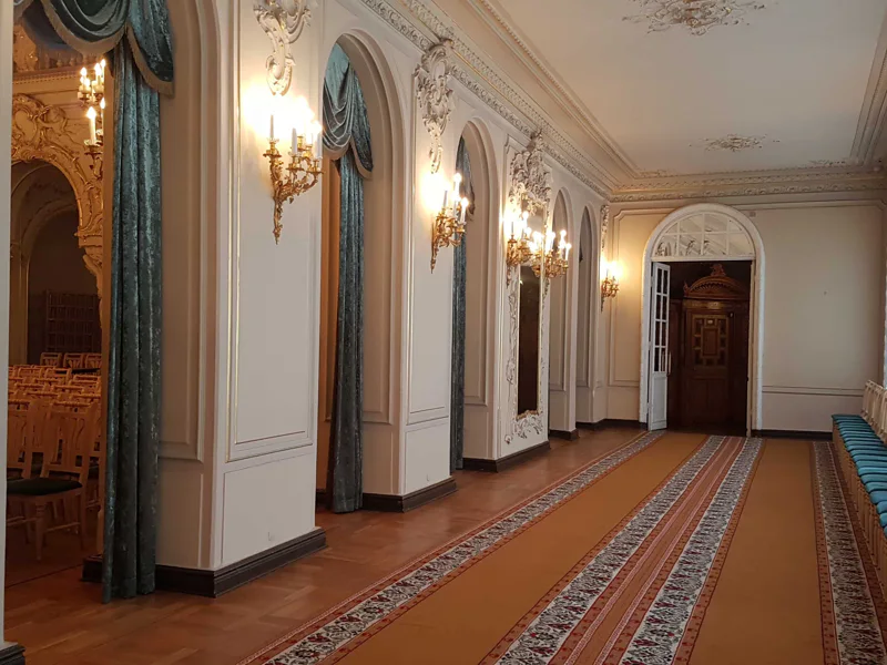 Экскурсия в Дом Учёных (Владимирский дворец) — фото 6, Санкт-Петербург | Покатаем