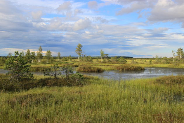 Виды Тайны Южной Ельни