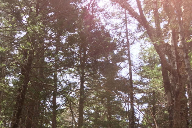 Виды Восхождение на г. Литовка (Фалаза)