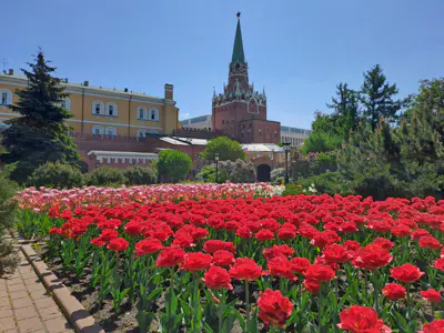 Исторический центр Москвы. Всё самое главное в сердце столицы за 3 часа