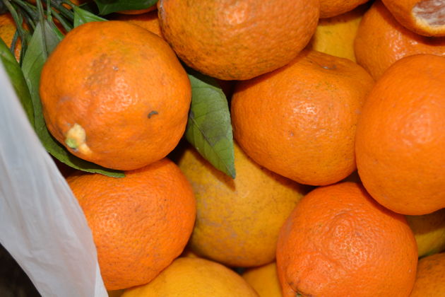 Виды Батумский бульвар и незабываемый отпуск в Аджарии