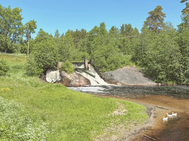 Экспедиция к лесным водопадам и к месторождению граната — фото 5, Сортавала | Покатаем