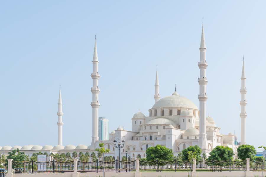 Абу-Даби: главные достопримечательности с местным гидом - фото 5