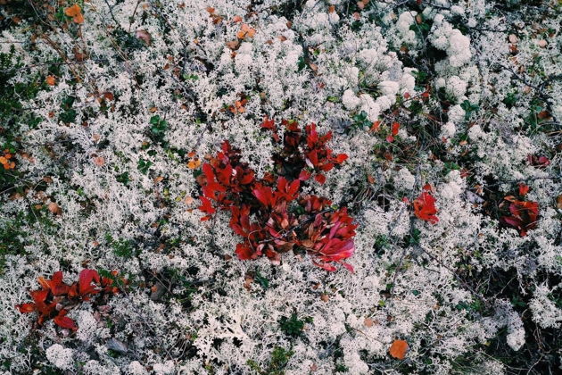 Виды Увлекательный пеший подьем в Ловозерские тундры