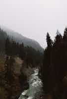 Экскурсия "В сказочный Домбай: перевал Гумбаши, Шоанинский храм, озеро Кара-Кёль" - фото отзыва 3