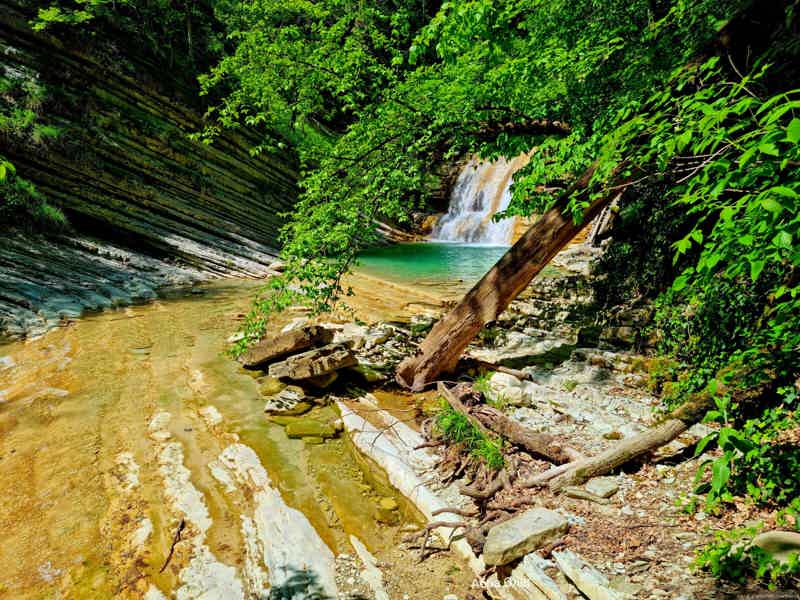 Дикая река Коаго: сказочная природа и бирюзовые лагуны с водопадами  - фото 3