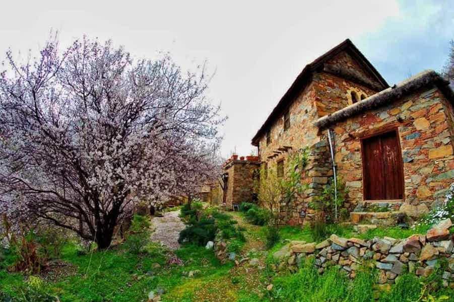 Чудеса Святого Исцеления - фото 1