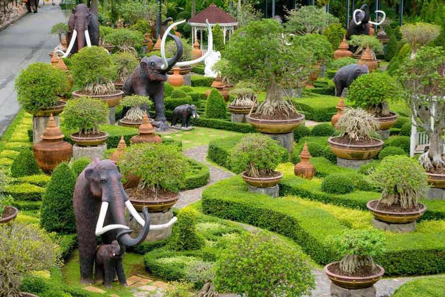 Тропический сад Нонг Нуч - фото 5