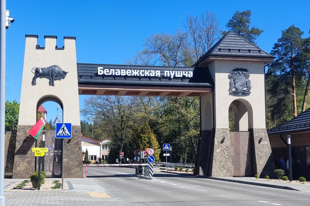 ИНДИВИДУАЛЬНЫЙ ТРАНСФЕР: Минск Беловежская пуща Брест до 8 человек