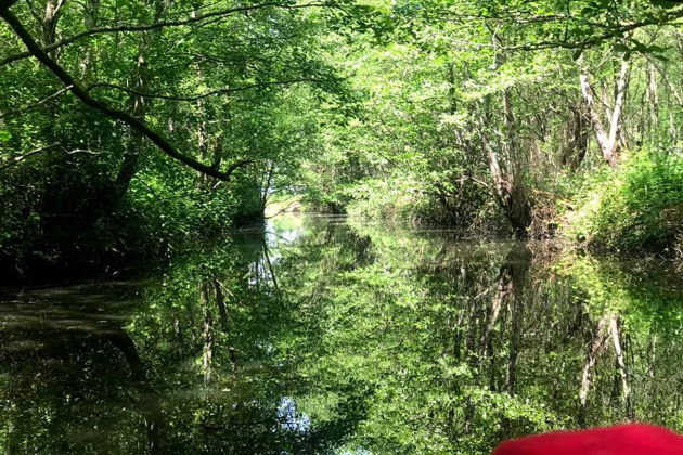 Виды Национальный парк Колхети — маленький рай 