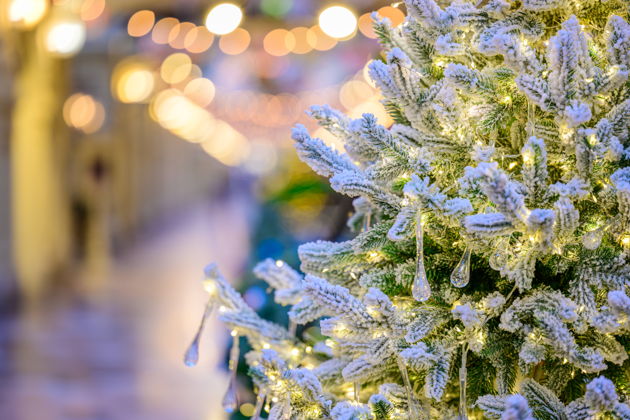 Зимнее волшебство соснового леса: Академгородок и ГЭС