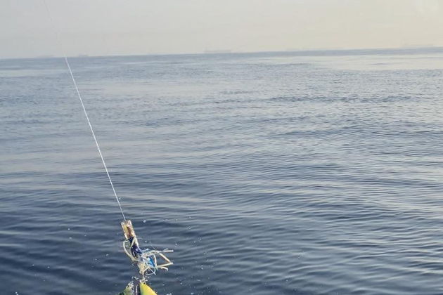 Виды Рыбалка на Фуджейре: тунец, махи-махи