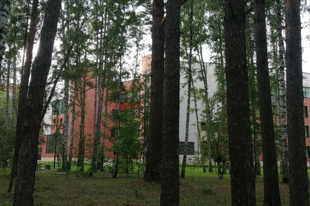 Новосибирский Академгородок: прогулка по городу-лесу
