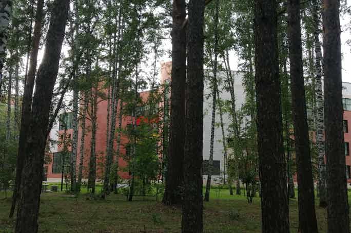 Новосибирский Академгородок: прогулка по городу-лесу
