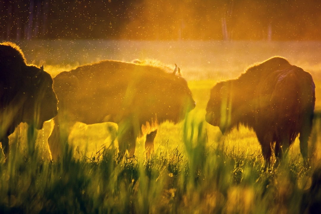 Вся Беларусь за 7 дней — фото 3