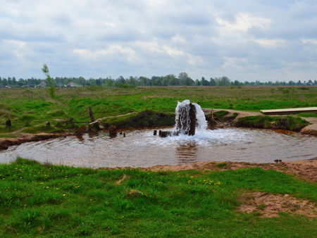 Царицынский источник