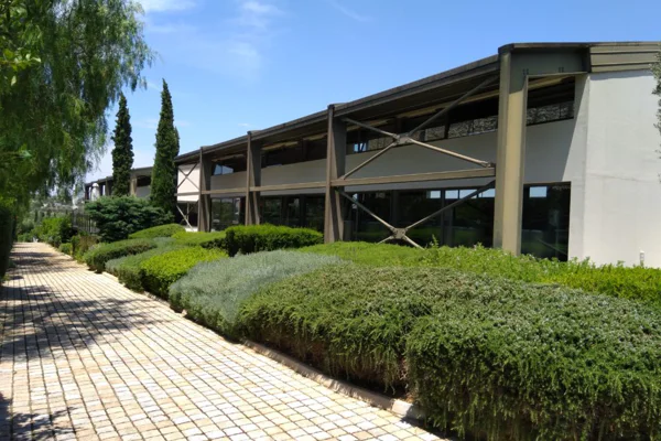 Athens winery tour — photo 3, Athens | Pokataem
